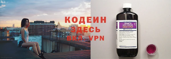 молекула духа Алзамай